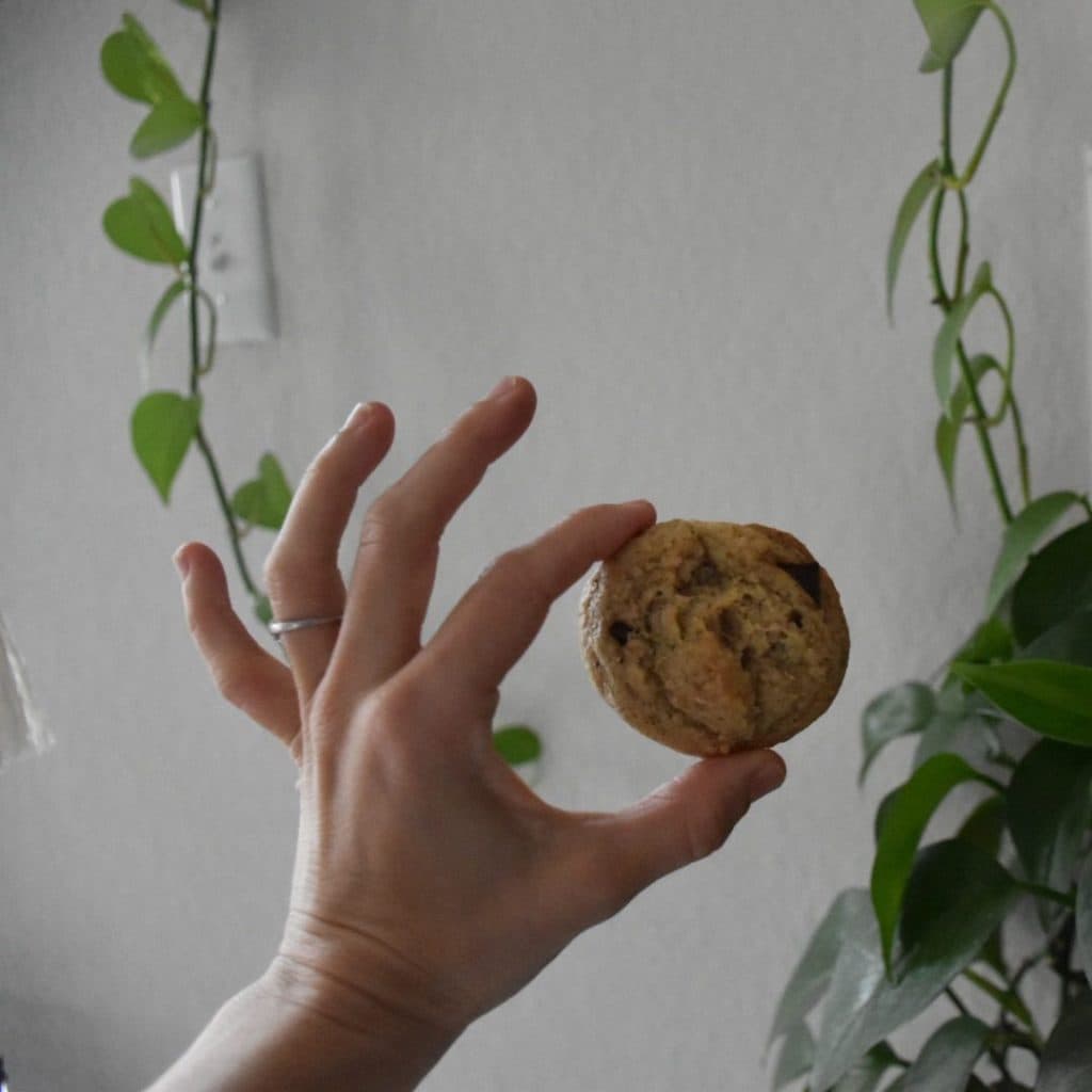 The Best Sourdough (active or discard) Chocolate Chip Cookies