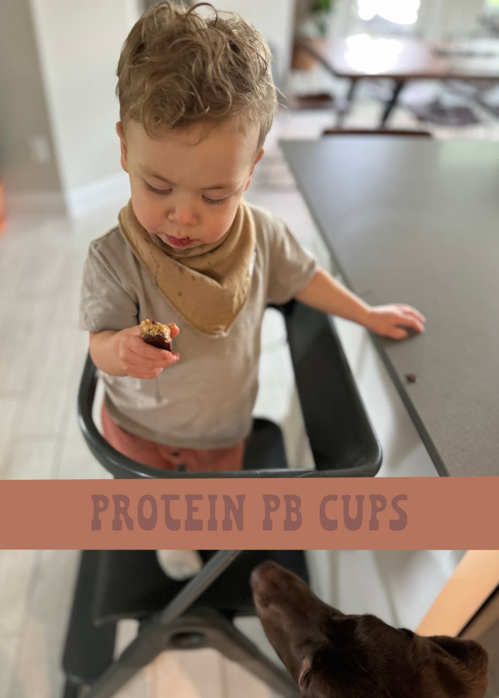 Protein PB Cups