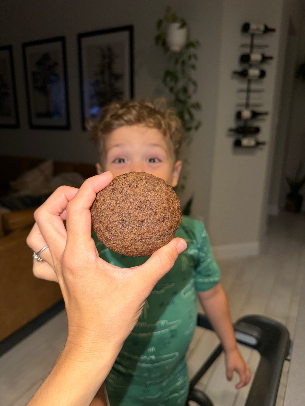 Fluffy Double Chocolate&nbsp;Cookies