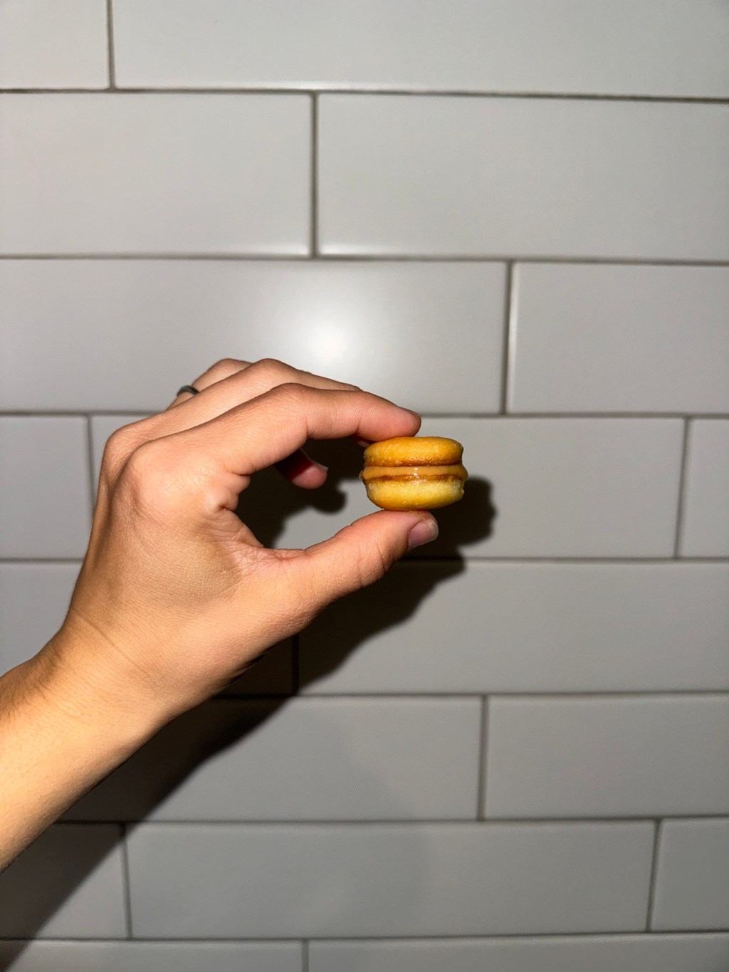 Homemade Sourdough “Ritz”&nbsp;Crackers